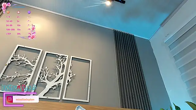 Elise-Leyton webcam