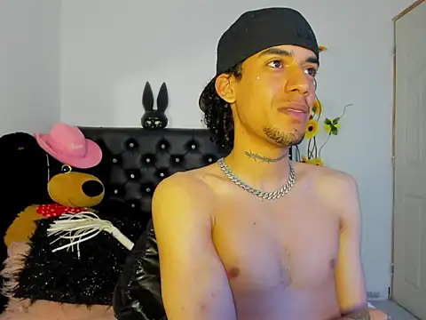 Ryder-Stone webcam