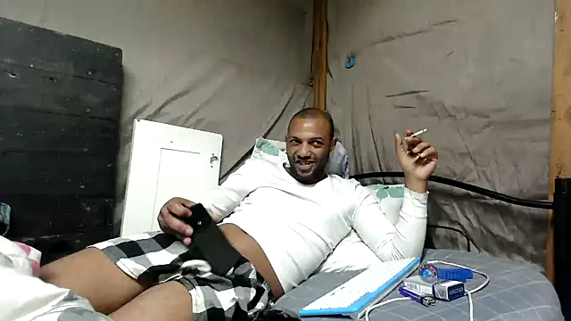 Camodick webcam