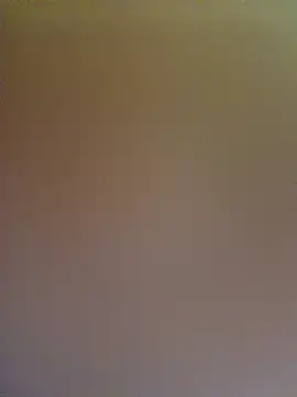 wadmma webcam