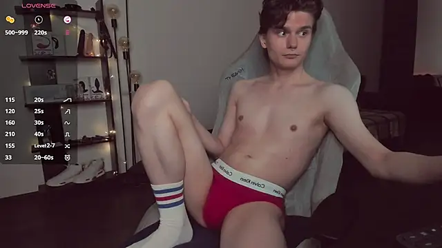 Da_scin webcam