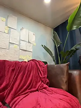 Canneela webcam