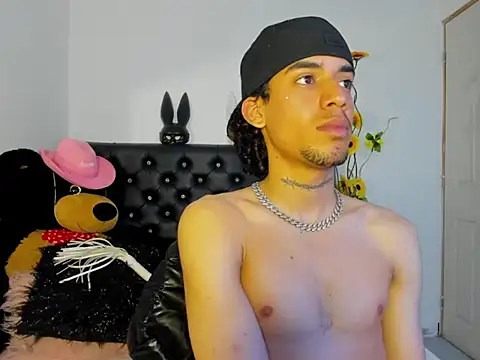 Ryder-Stone webcam