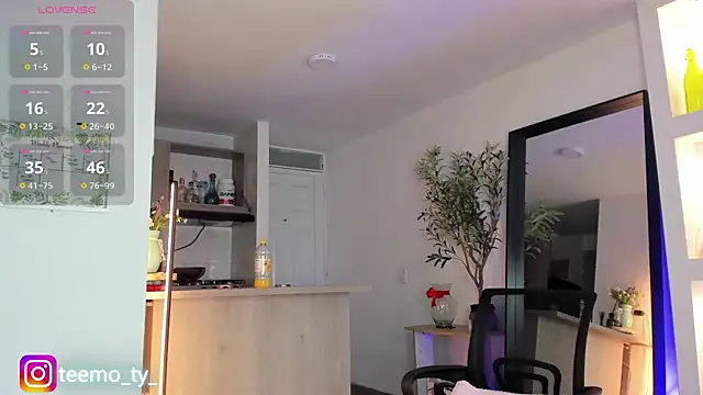 teemotwink webcam