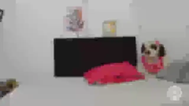 Miia_coollins webcam