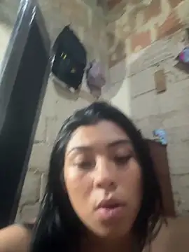 Ceninth webcam