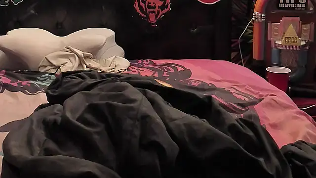 BIG_FAT_BEAR webcam