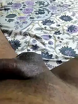 desi_pb02 webcam