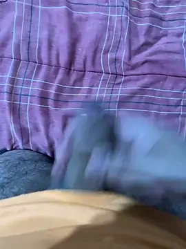 GUSTAVO_CASADO webcam