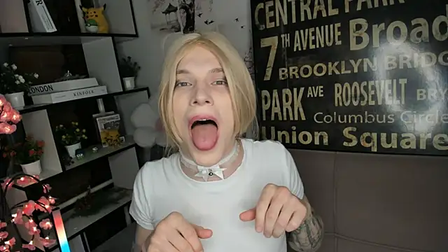 TwinkWhite webcam