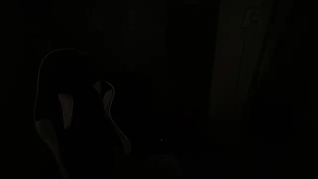 Haddes_as webcam