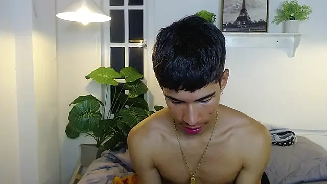 Jesve webcam