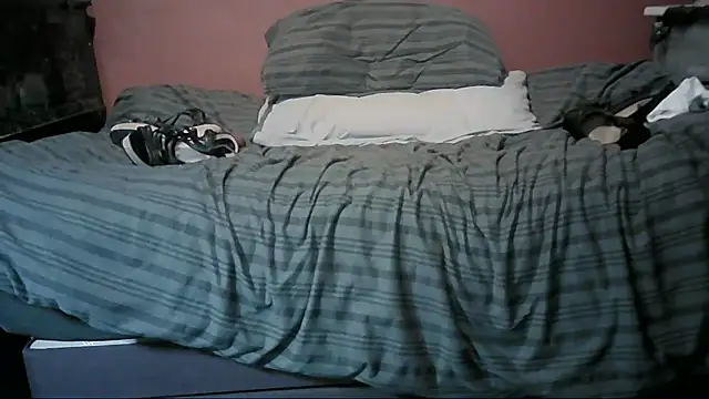 mole800 webcam
