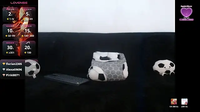 Steilormuller66 webcam