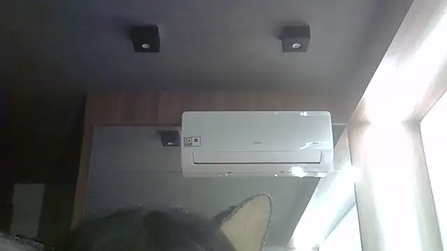 SkinnyKitten webcam