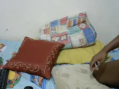 playfullnova webcam