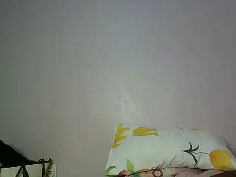 misslev webcam