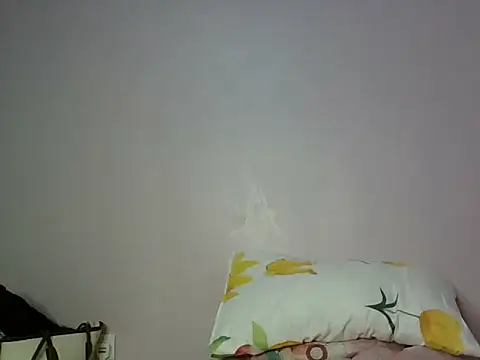 misslev webcam