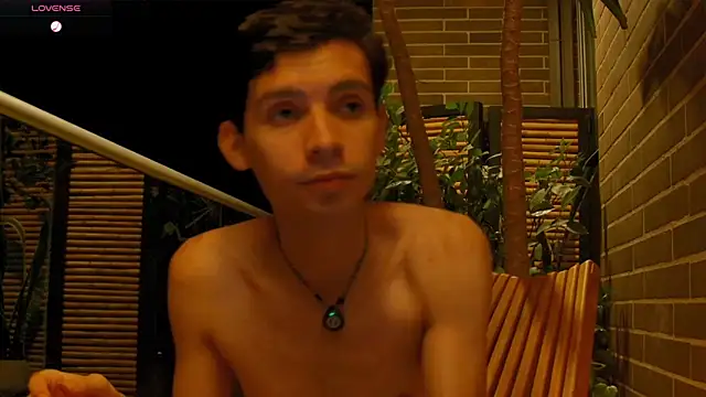 VicenteFerrer webcam