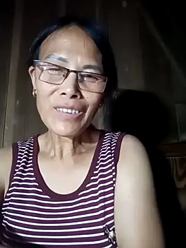 toyo_668 webcam