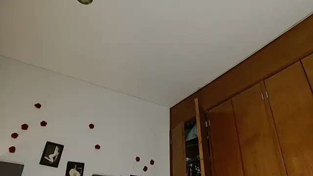 3littles webcam