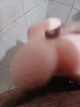 papi23l webcam