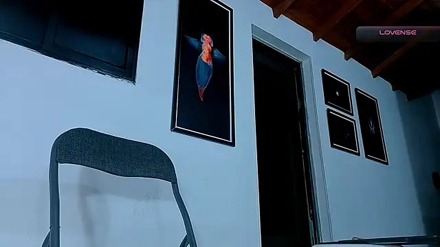 SilvaBranko webcam