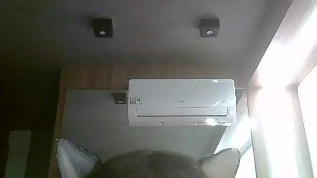 SkinnyKitten webcam