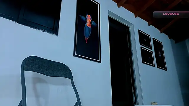 SilvaBranko webcam