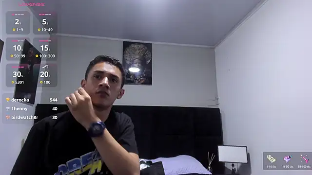 _Alan_Walker_1 webcam