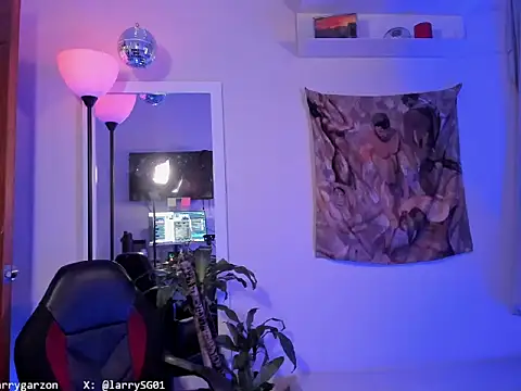 LarryGarzon webcam
