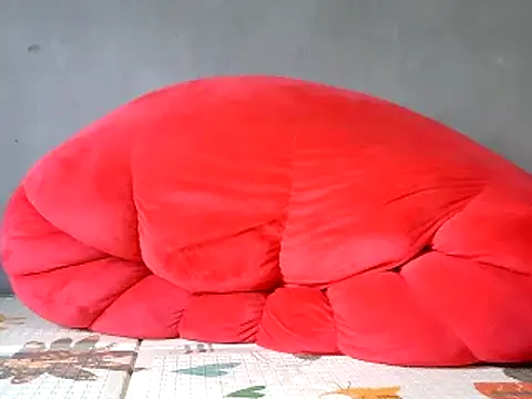 Jin-Linh webcam