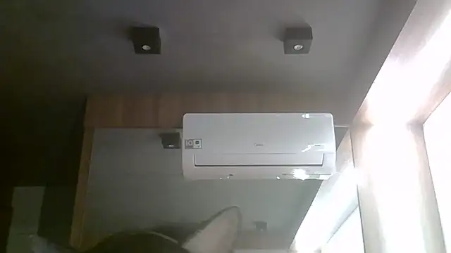 SkinnyKitten webcam