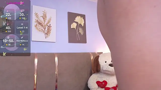 SALOME_F0X_ webcam