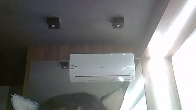 SkinnyKitten webcam