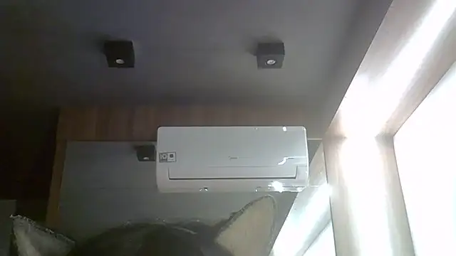 SkinnyKitten webcam