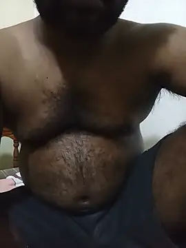 Hiptonos webcam