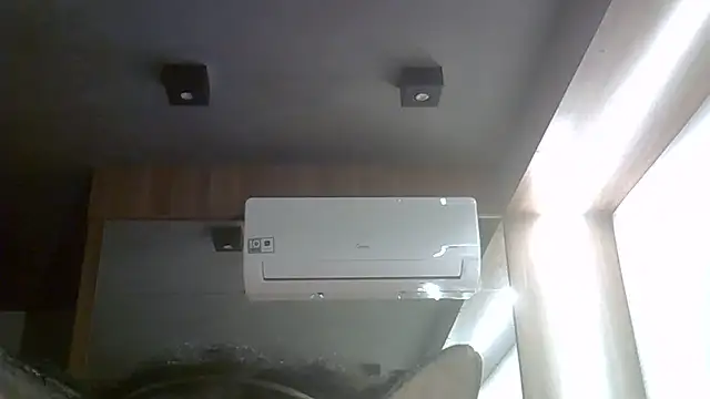 SkinnyKitten webcam