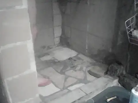 Twoslipperywhenwett webcam