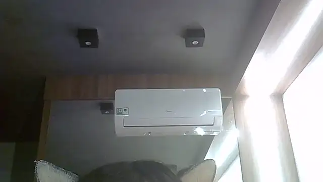 SkinnyKitten webcam