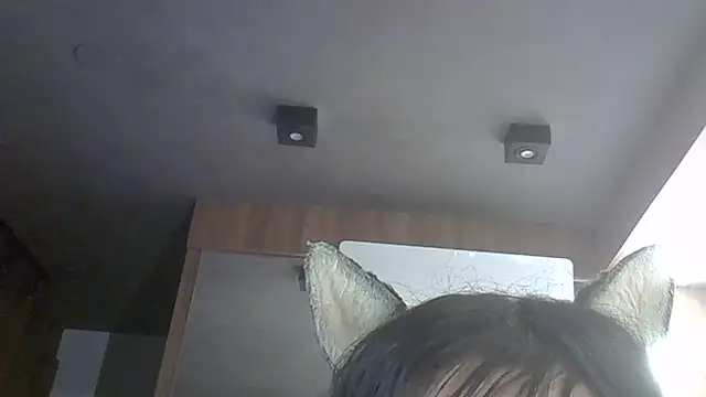 SkinnyKitten webcam