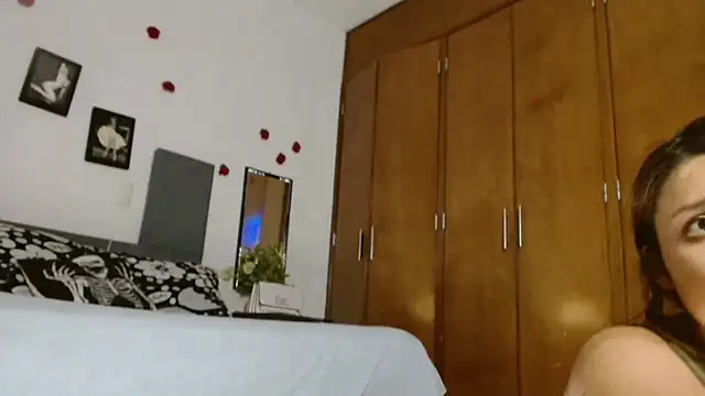 3littles webcam