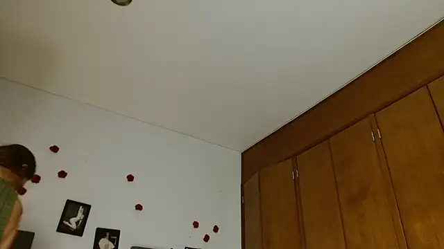 3littles webcam