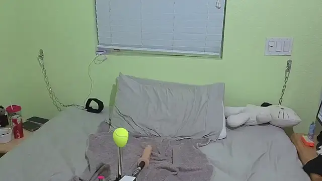 Prepare2Twerk webcam