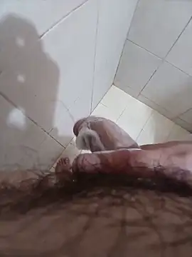 papi23l webcam