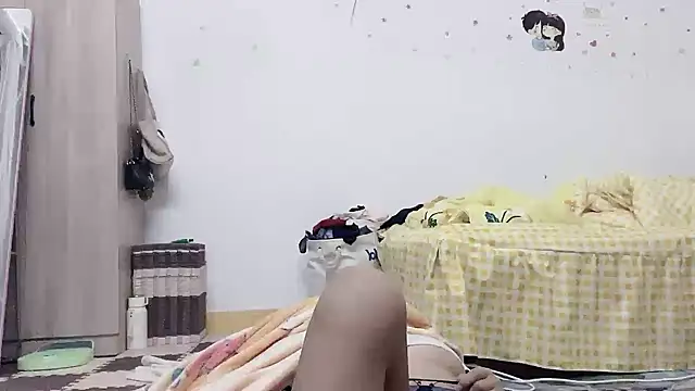Belle-LL webcam