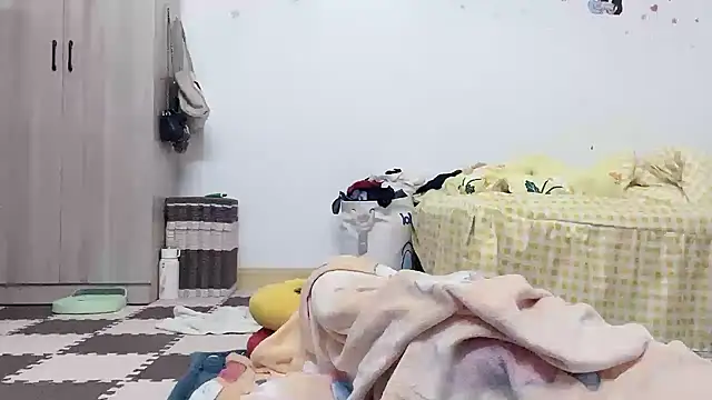 Belle-LL webcam