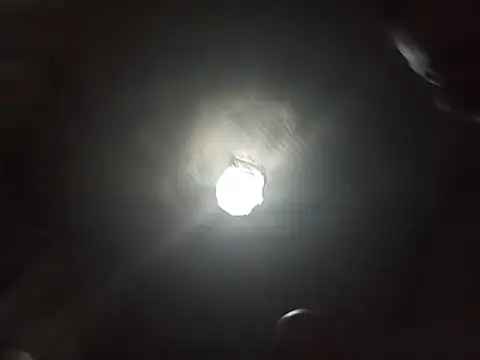 sabriniixcarriz0 (F young) - Me he sacado todo