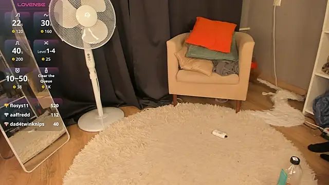 SolarFringe webcam