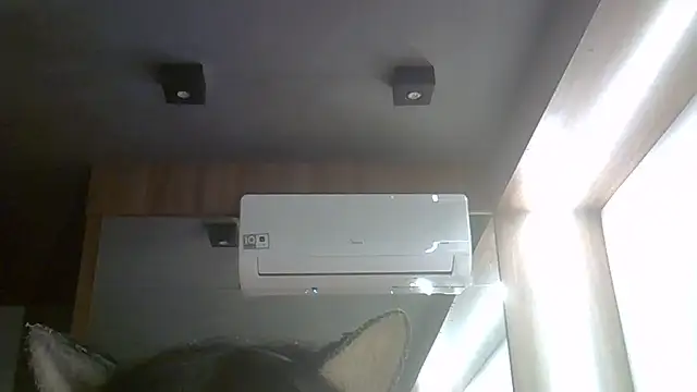 SkinnyKitten webcam